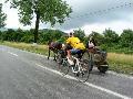 Távlatok