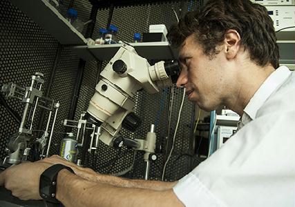 Hangya Balázs négy és fél évet töltött az amerikai Cold Spring Harbor Laboratoryban, majd visszatért a budapesti KOKI-ba